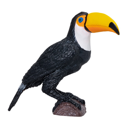Toucan wild zoo - zoo, animals