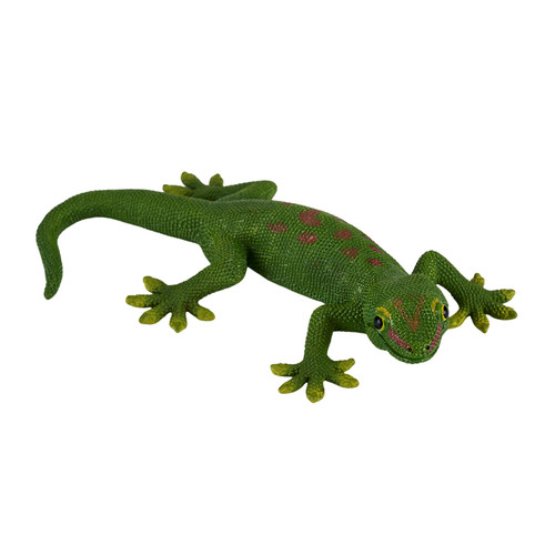 Gecko wild zoo - gecko,